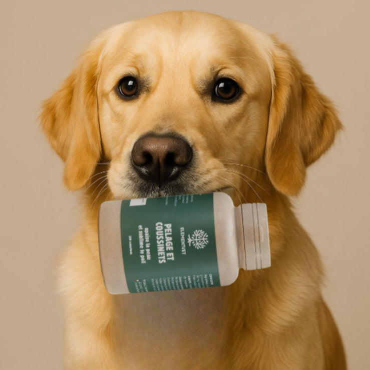 Pourquoi donner des compléments alimentaires en plus de l'alimentation ?