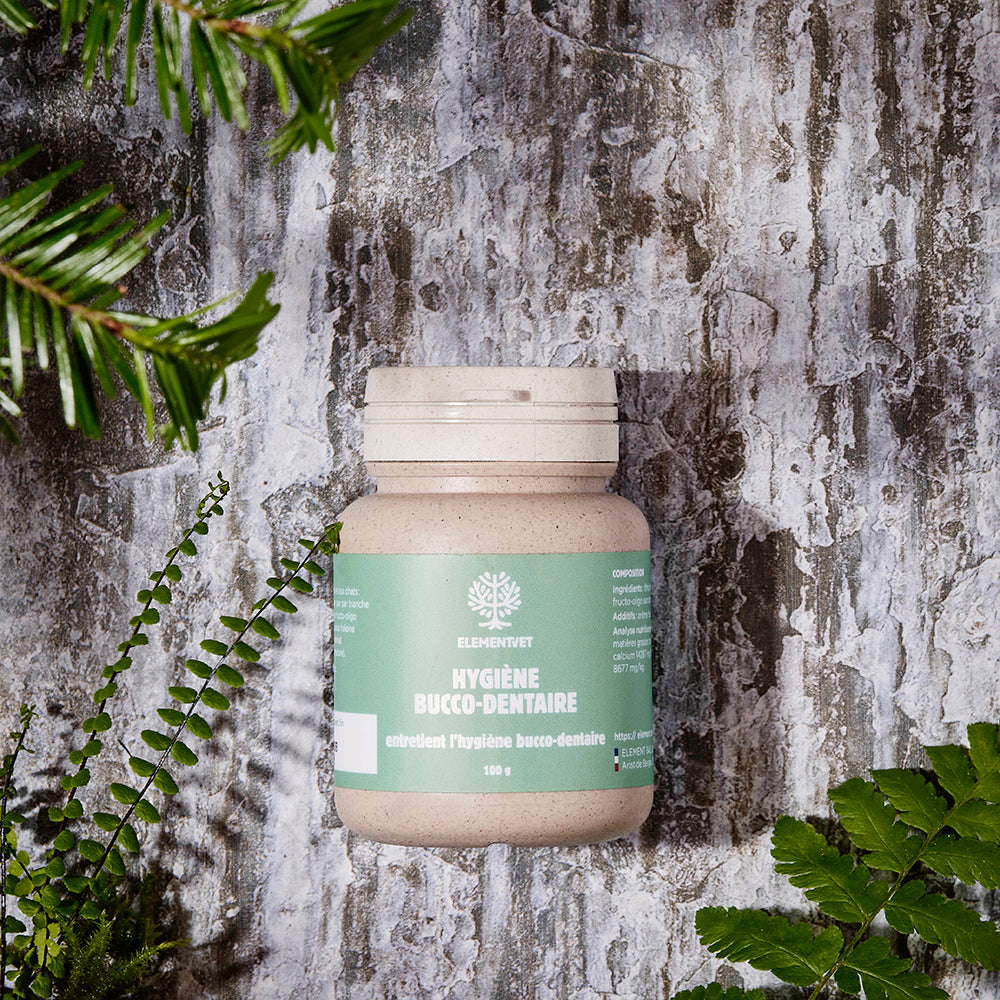Hygiène bucco-dentaire : un soin essentiel !