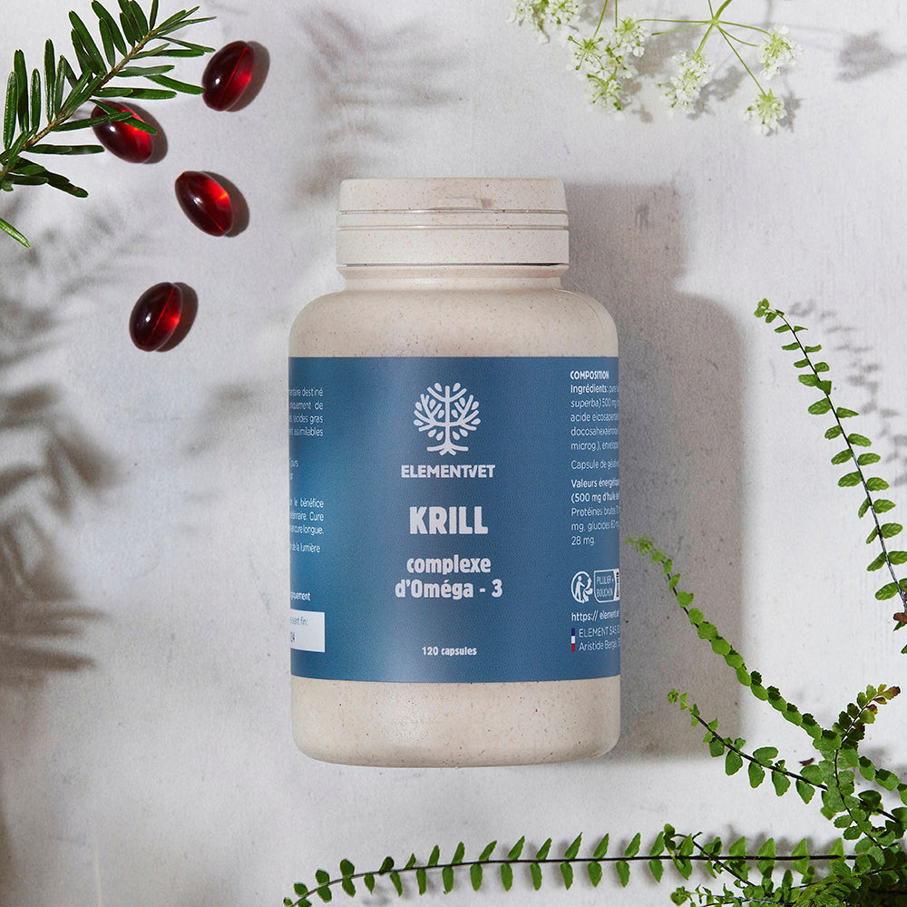 Pourquoi l’huile de krill est-elle la meilleure source d’oméga-3 pour nos chiens ?