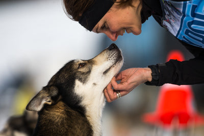 Parlez-vous avec votre chien ?