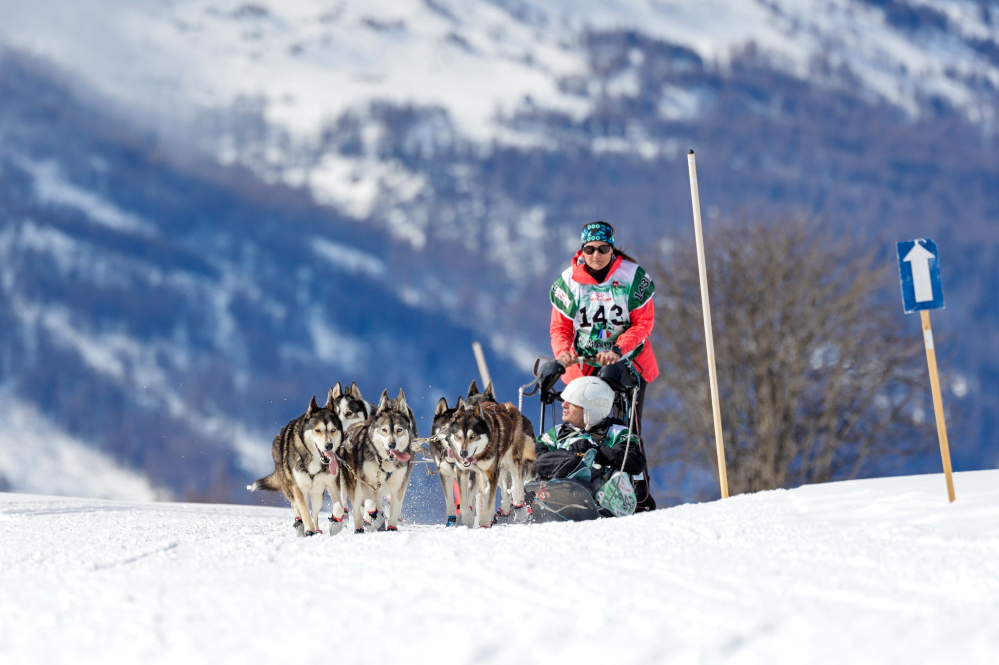🏅 Le sport pour tous avec ELEMENT VET