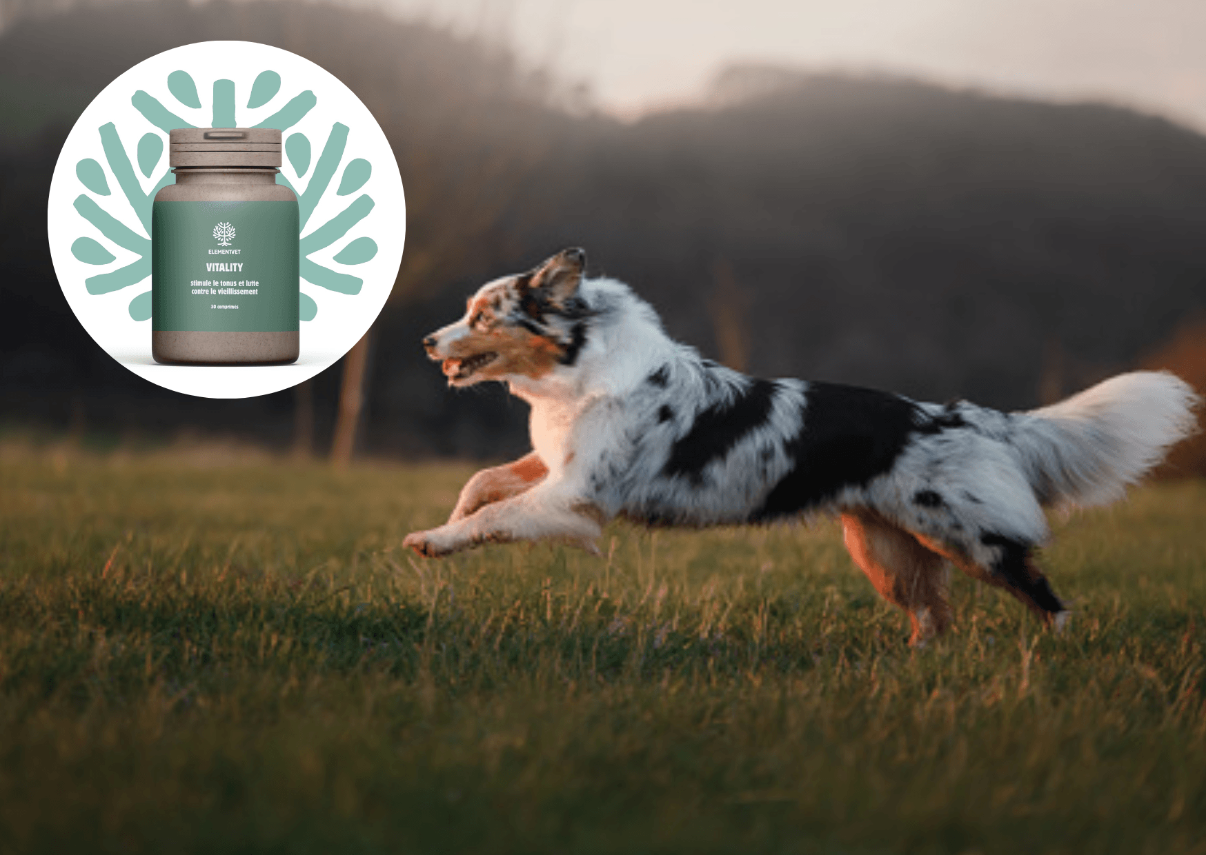 Vitality : stimule le tonus