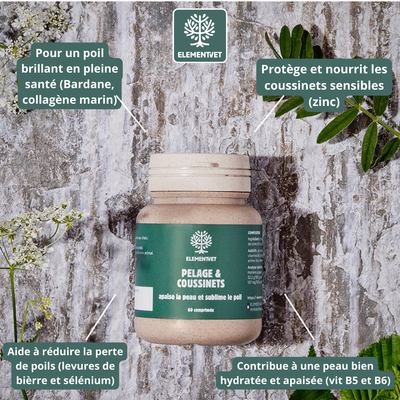 Le poil est le miroir de la santé