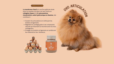 La membrane d'oeuf est une matière revalorisée tellement riche !