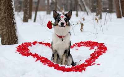 Notre engagement pour sauver des enfants