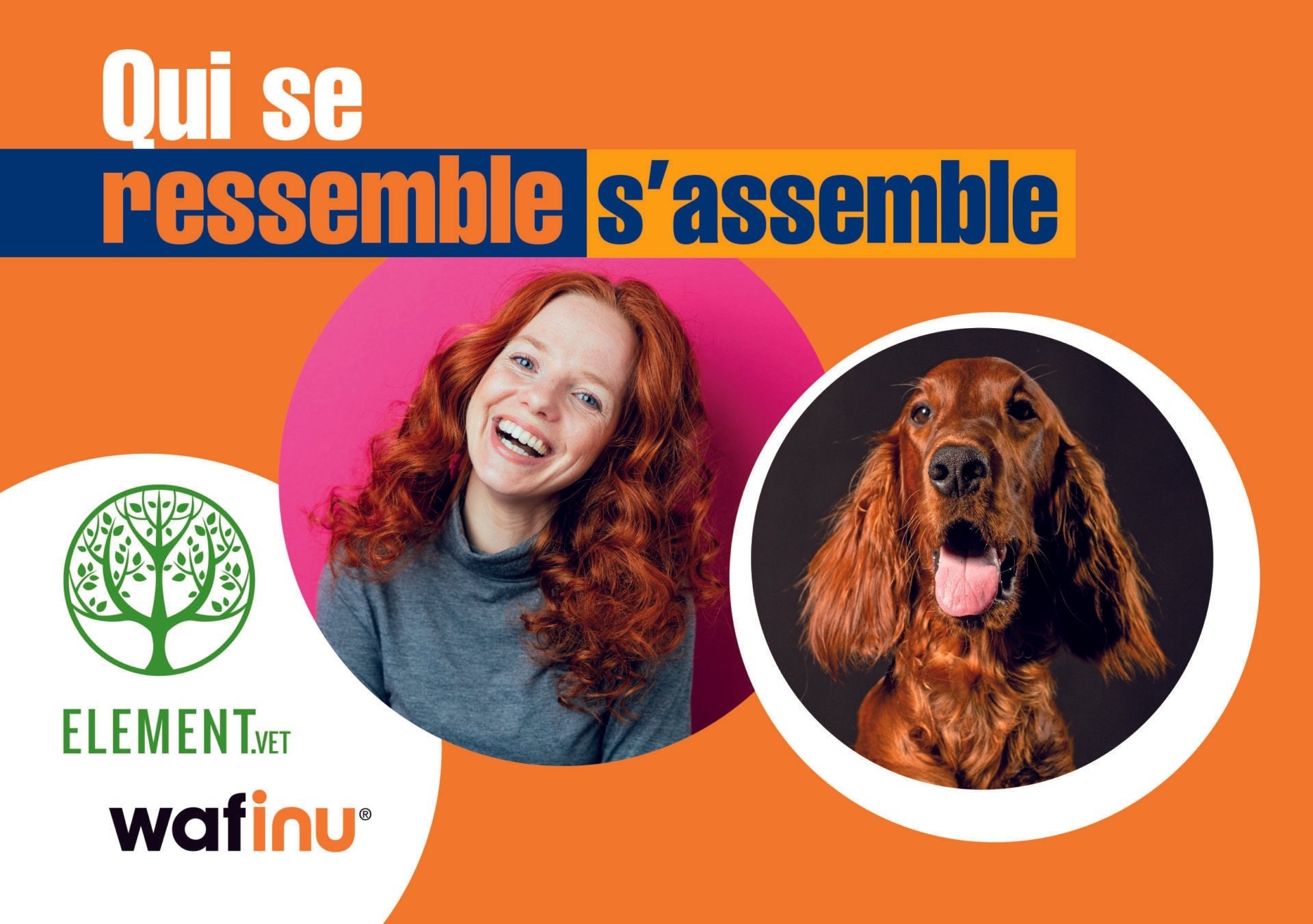 Qui se ressemble, s’assemble