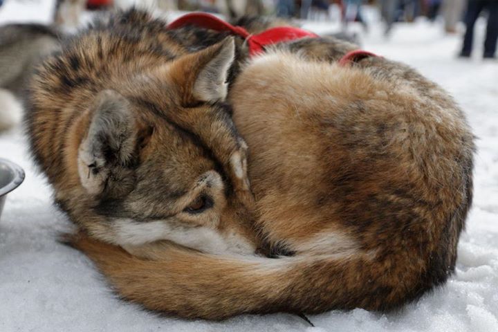Le temps de la retraite !