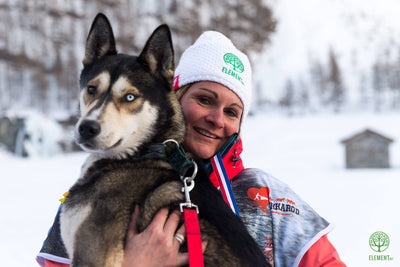 Clin d’œil de la FFST Fédération française des sports de traîneau !