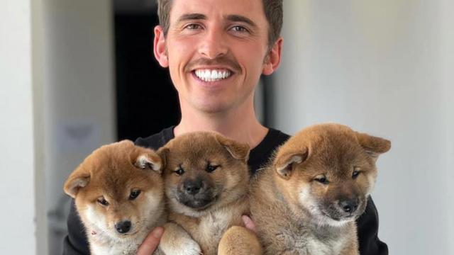 Préparons en toute sérénité nos vacances avec notre compagnon