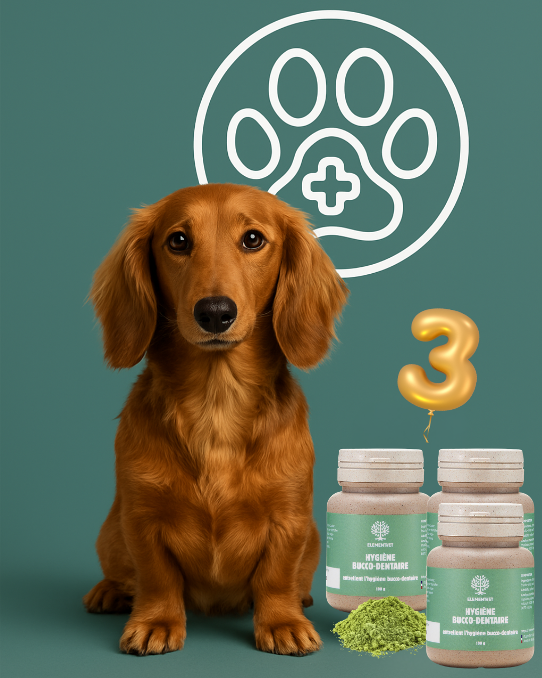 Hygiène bucco-dentaire naturelle : Cure tartre chien