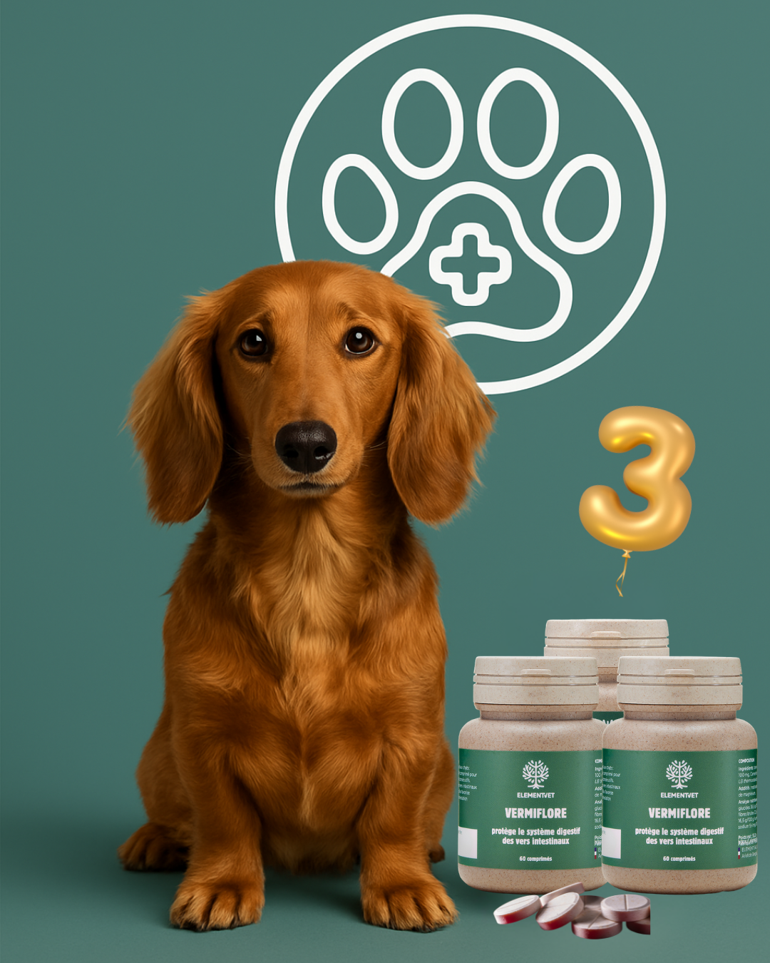 Vermiflore santé intestinale