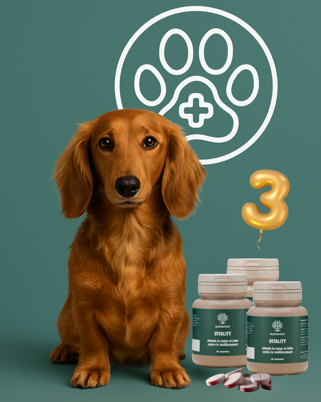Vitality – La cure tonus et vitalité pour votre compagnon