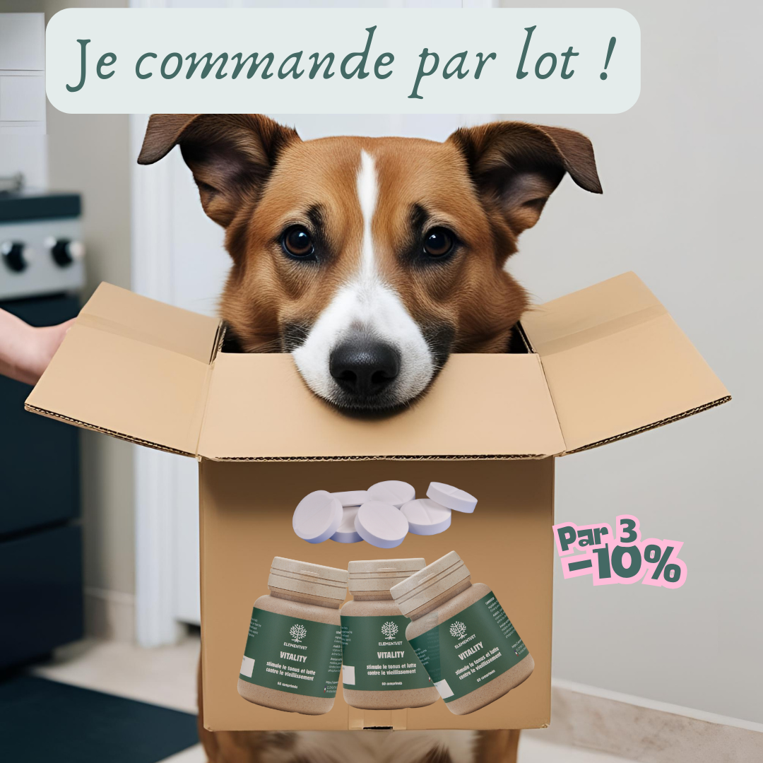 Pelage et Coussinets