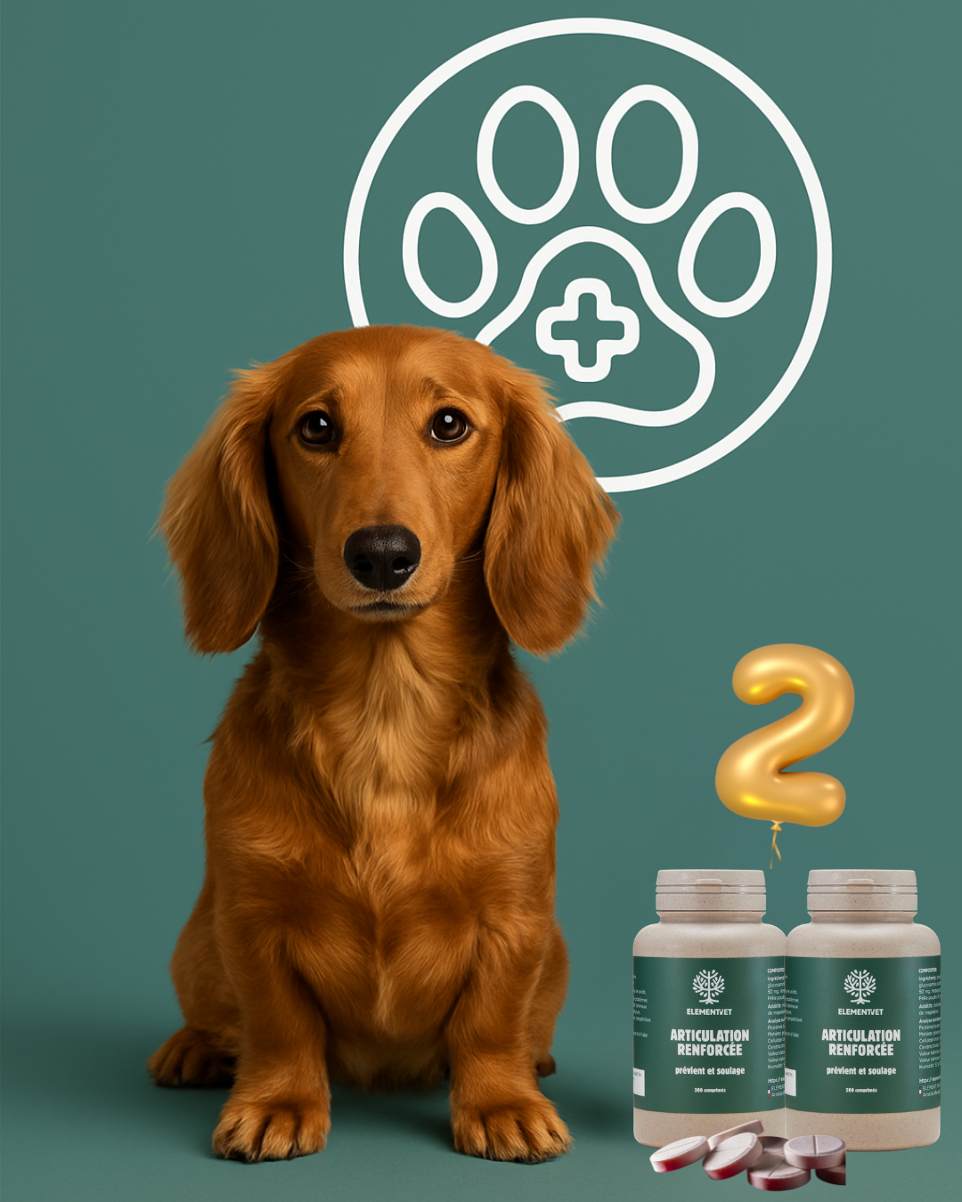 Articulation Renforcée soutien articulaire