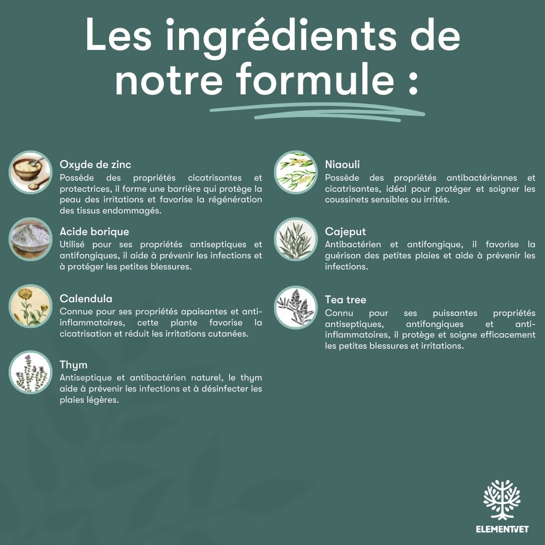 Baume réparateur coussinets chien