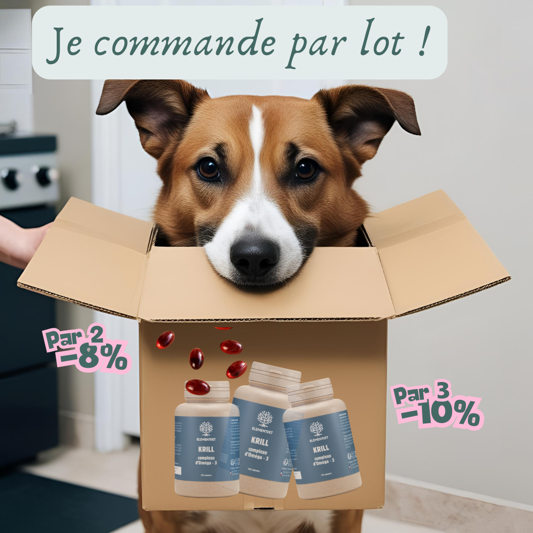 Oméga 3 – Huile de krill