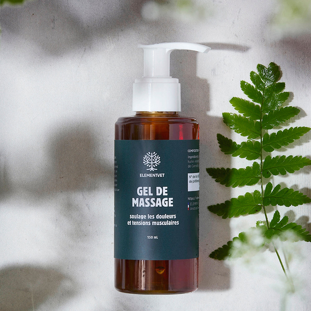 Gel de Massage à l'Arnica, Gaulthérie et aux huiles essentielles