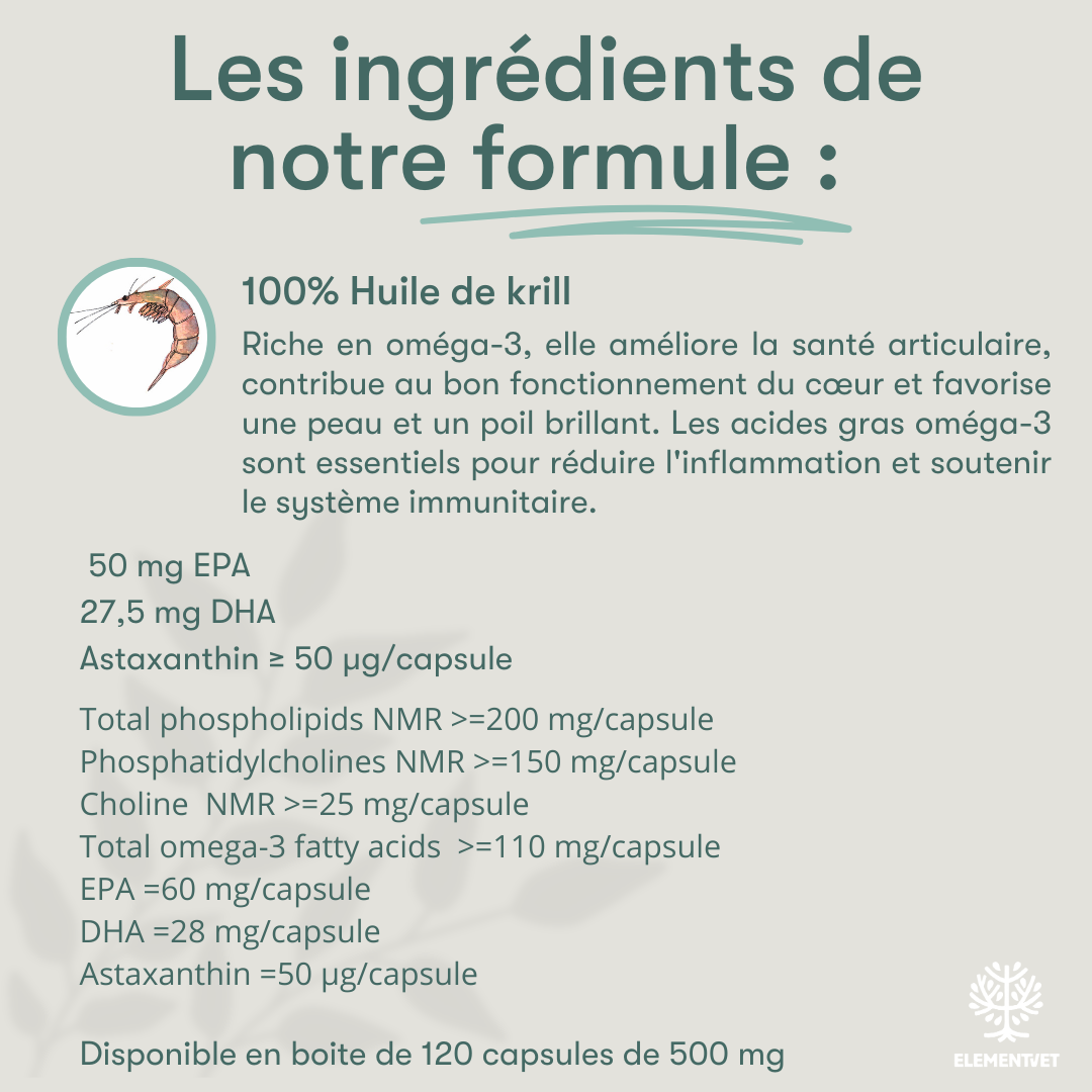 Oméga 3 – Huile de krill