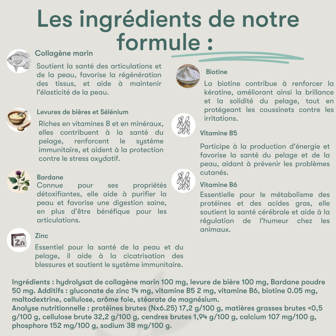Pelage et Coussinets