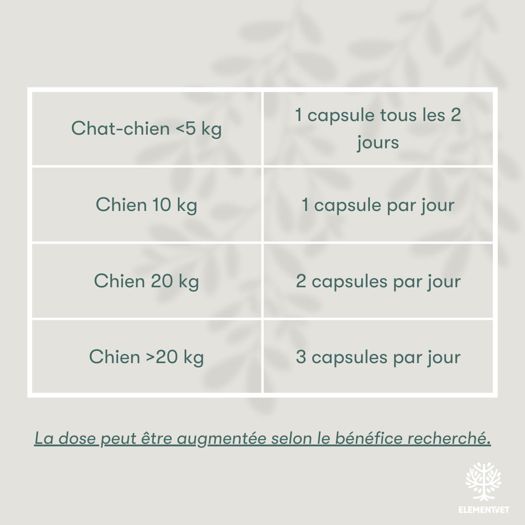 Oméga 3 – Huile de krill