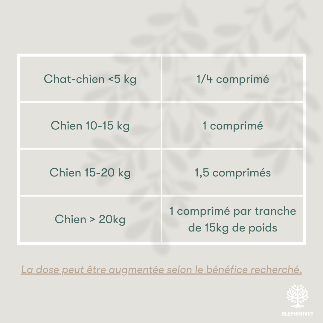 Pelage et Coussinets