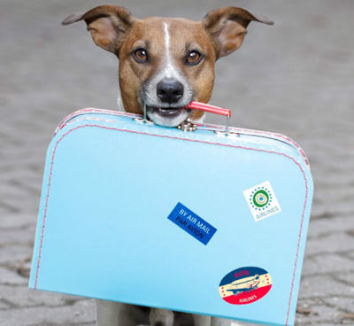 Forfait livraison Corse