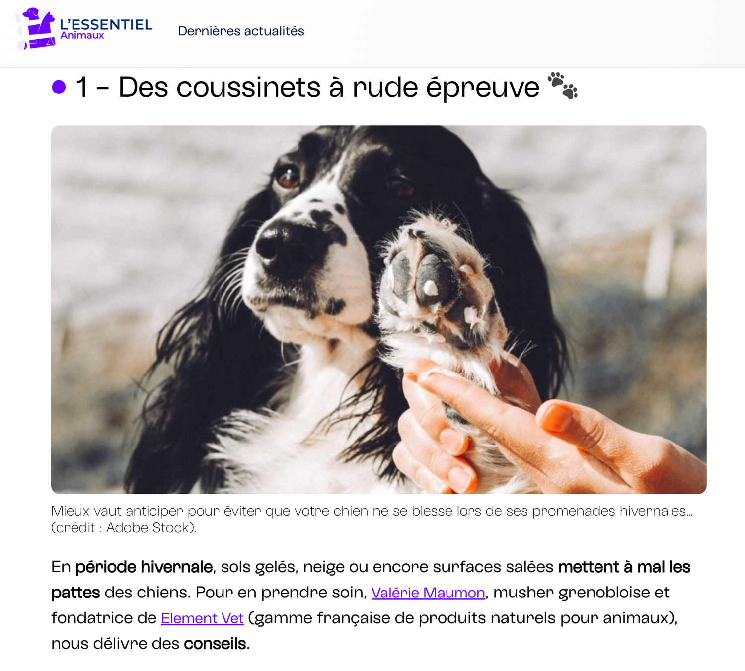 On parle de nous dans un spécialiste vétériaire l'Essentiel