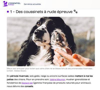 On parle de nous dans un spécialiste vétériaire l'Essentiel
