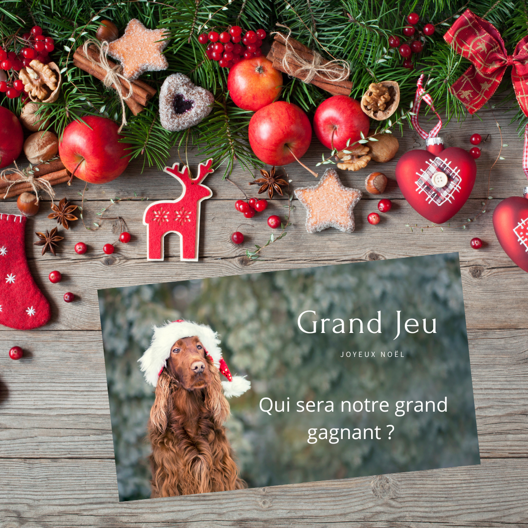 Grand Jeu de Noël !!