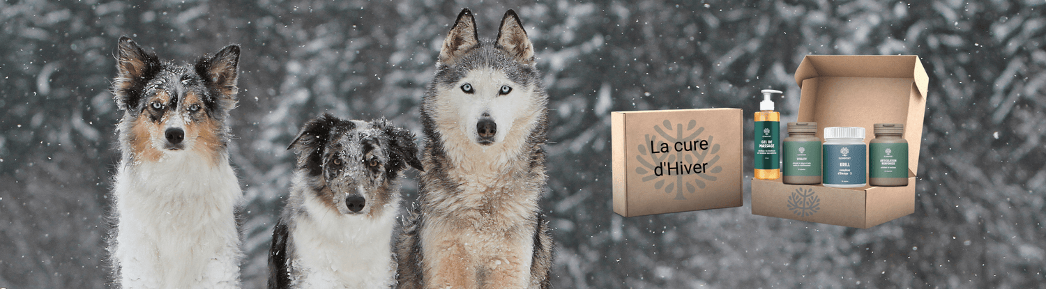 Tic Tac c’est l’heure de notre cure d’hiver !