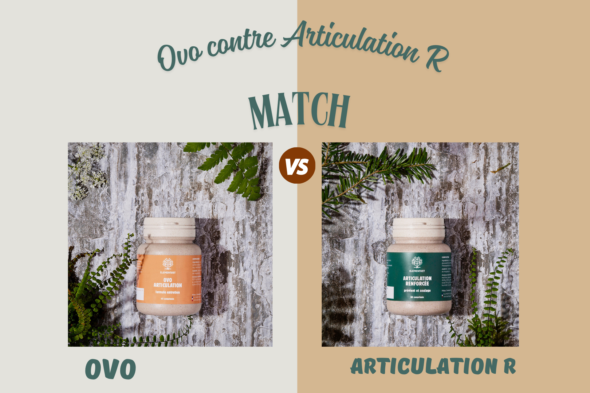 OVO ou Articulation Renforcée, quelle cure choisir ?