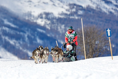 🏅 Le sport pour tous avec ELEMENT VET