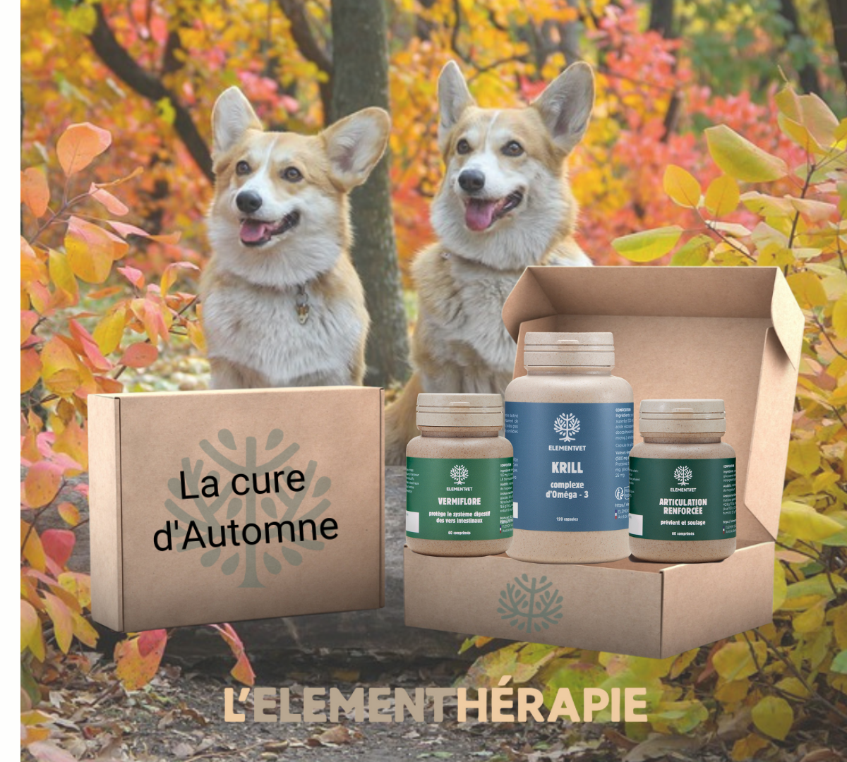 🍂 Préparez votre animal pour l'automne !