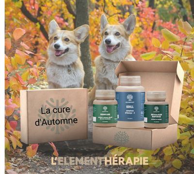 🍂 Préparez votre animal pour l'automne !