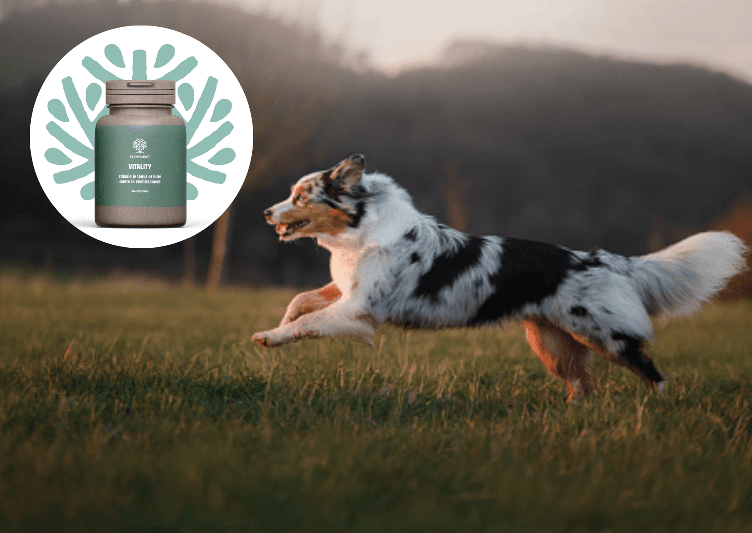 ­Vitality : stimule le tonus