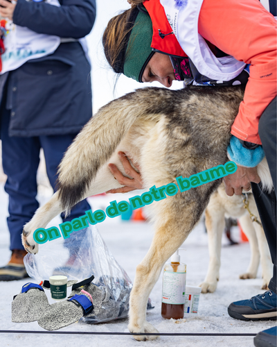 On parle de notre baume dans les médias !