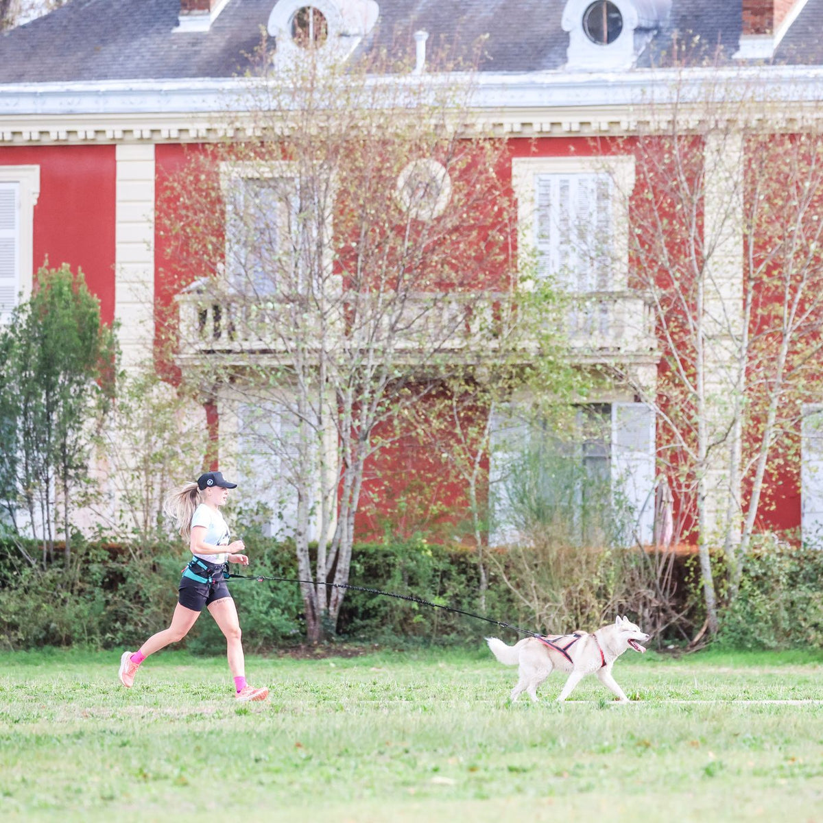 Duo de canicross dans le bois de Vincennes, Canicross pour Tous, Animal Expo 2026