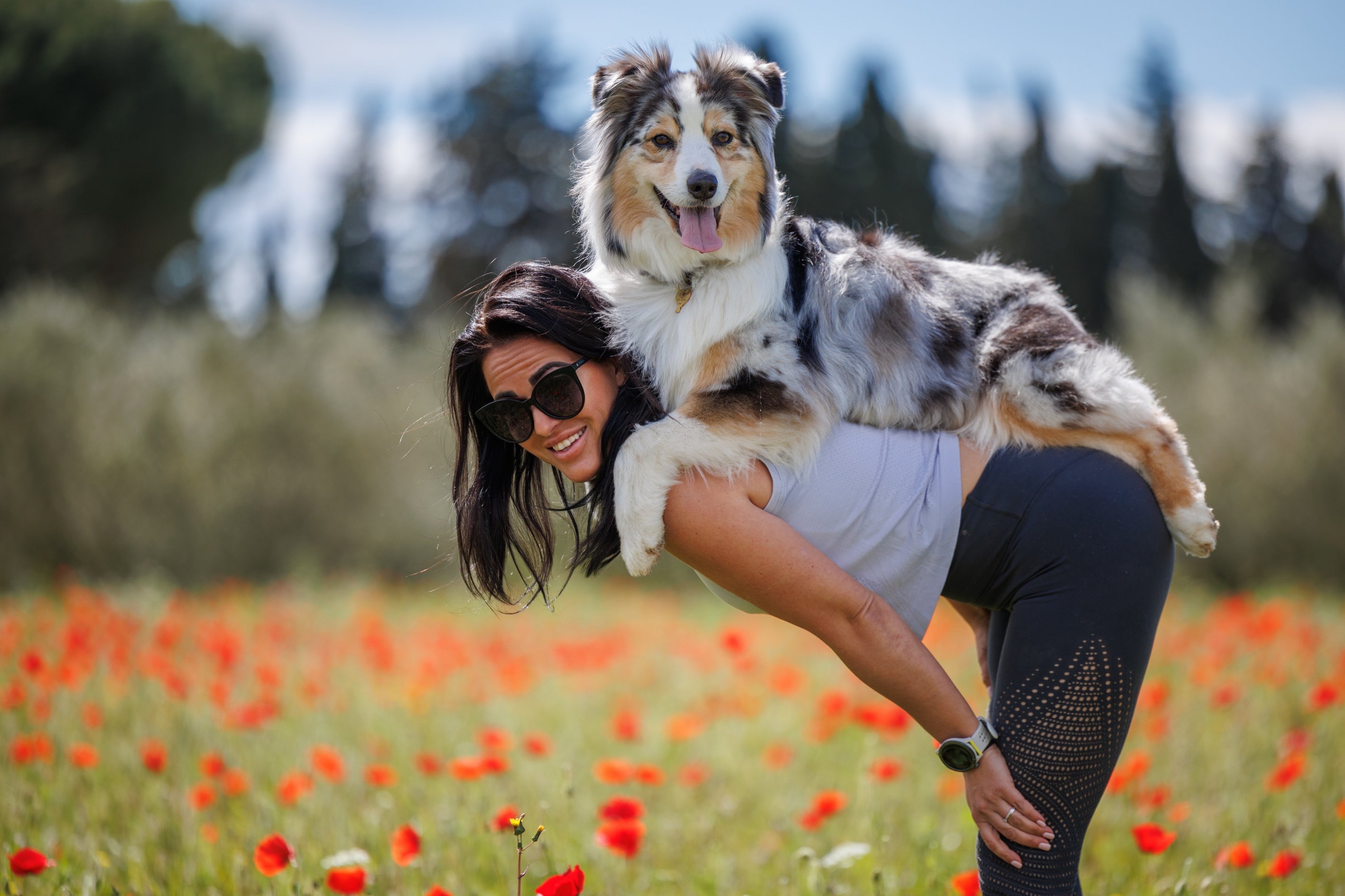 Doga : le vrai bien-être canin commence-t-il par le calme ?