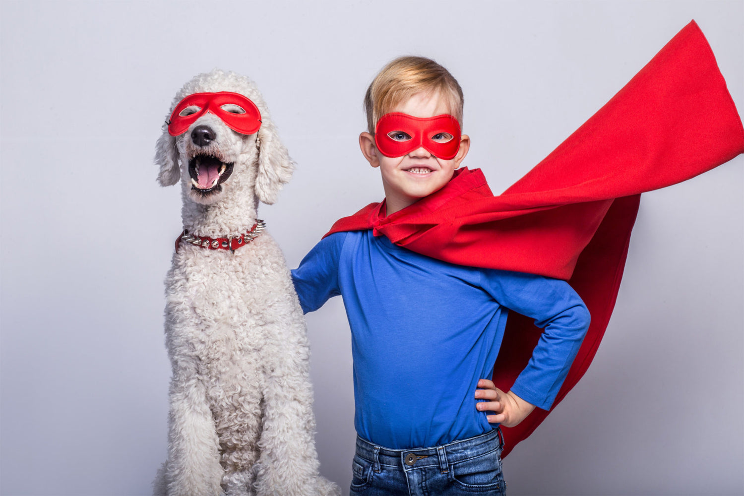 Jeu concours | Mon chien ce héros
