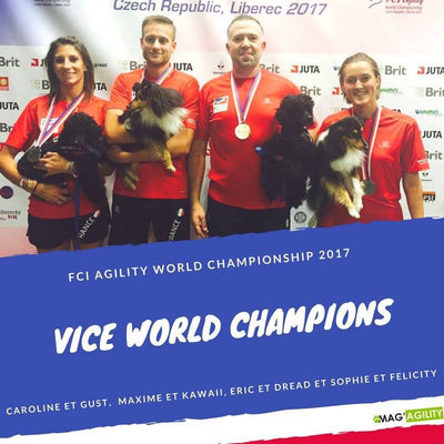 Vice Champions du Monde d’Agility !