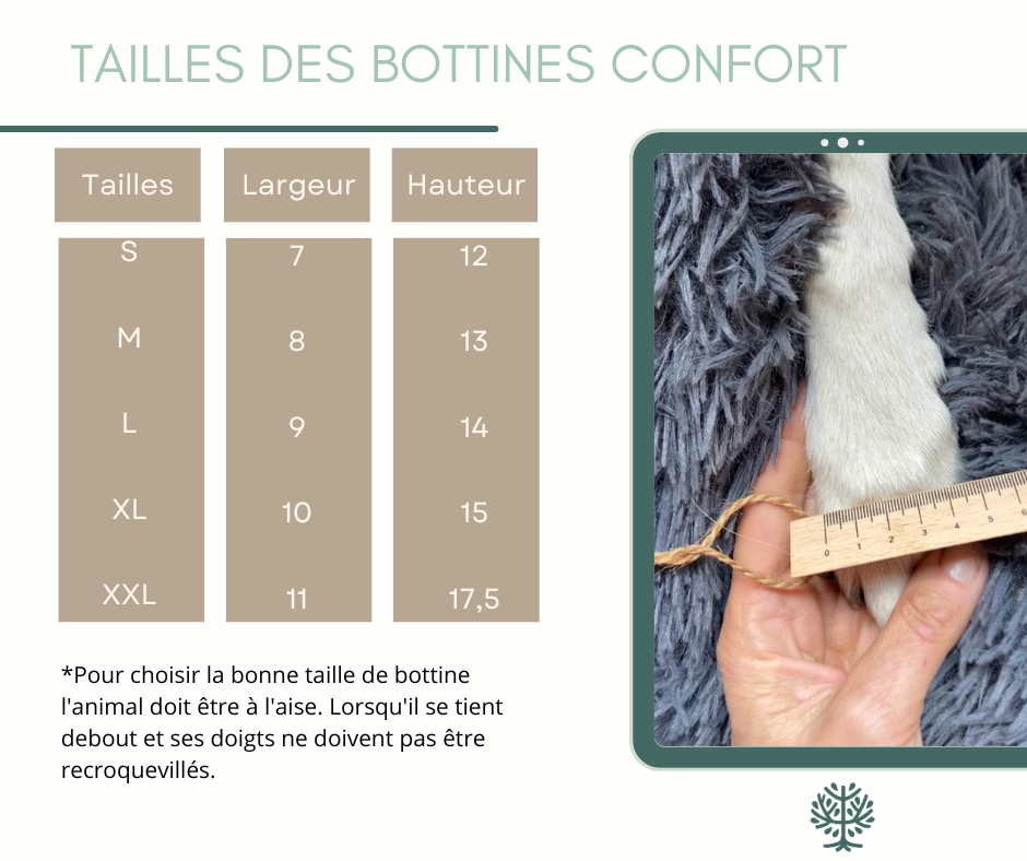 Pack Soin des pattes