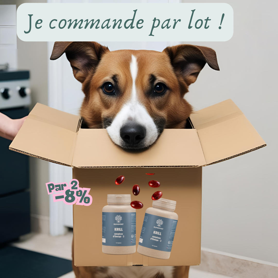 Oméga 3 – Huile de krill