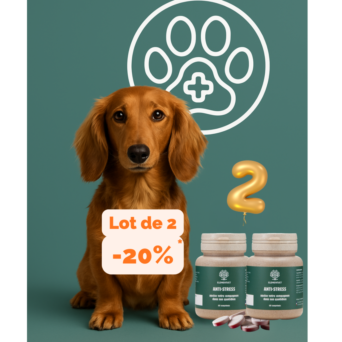 Anti-Stress cure naturelle pour chien anxieux