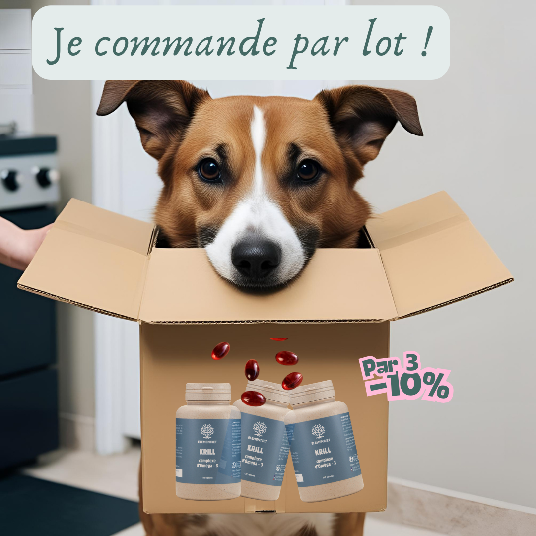 Oméga 3 – Huile de krill