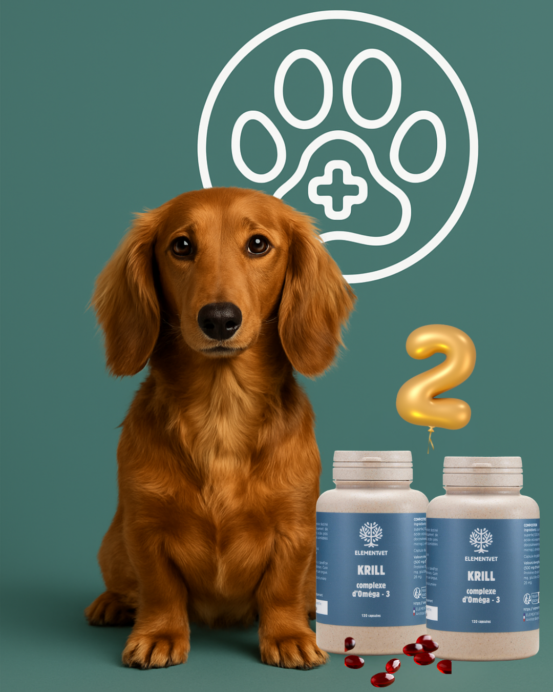 Oméga 3 – Huile de krill