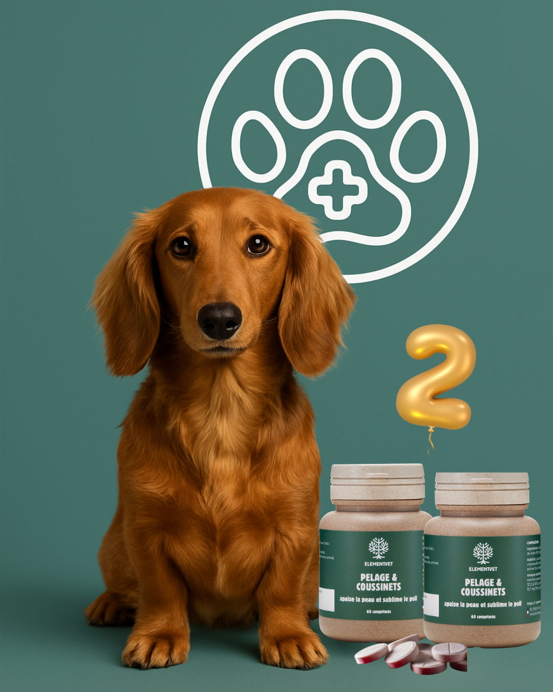 Pelage et Coussinets