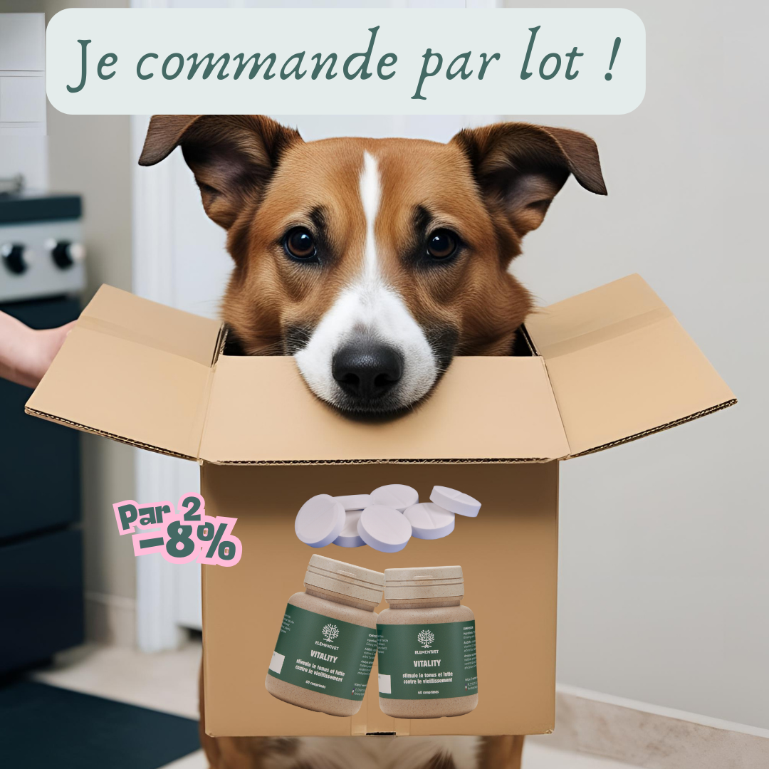 VET BOTANIC MSM Poudre Pour Articulations Chien Chat – Complément Alimentaire Naturel 100g