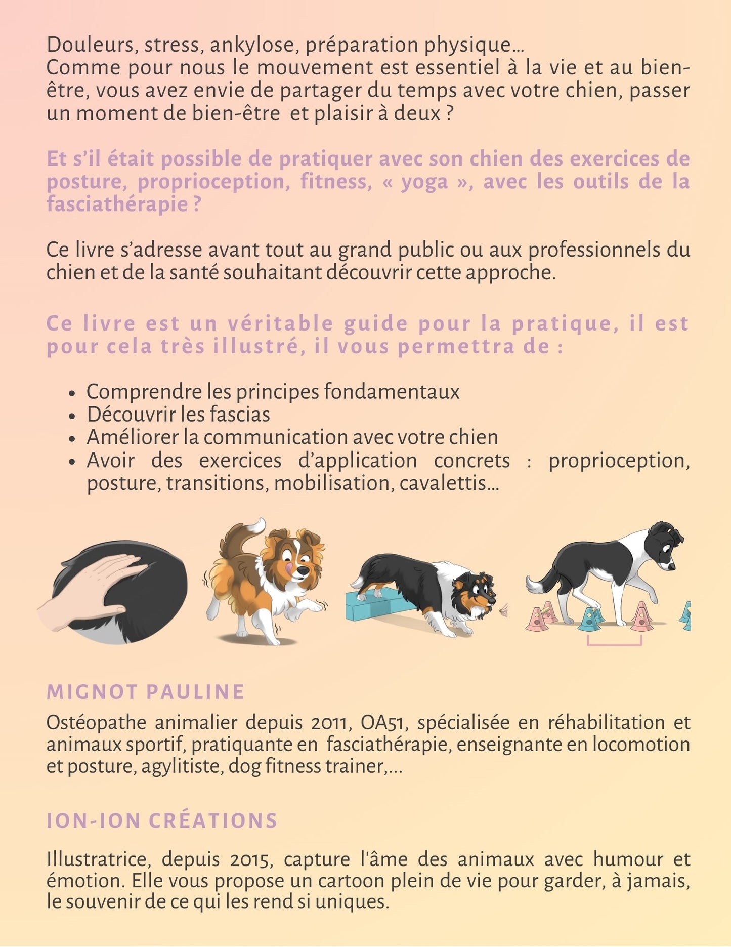 La Gym pour nos chiens