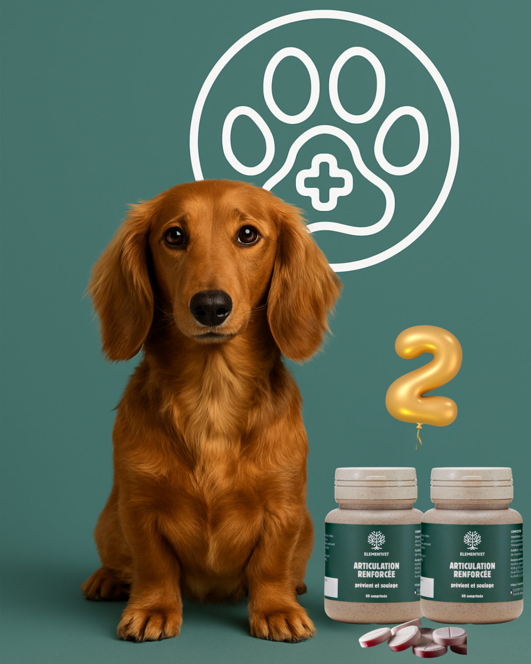 Articulation Renforcée soutien articulaire