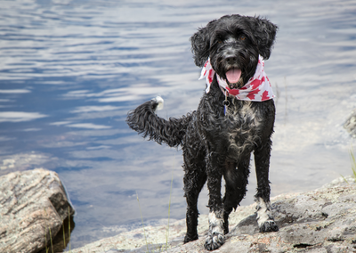 Forfait livraison Corse